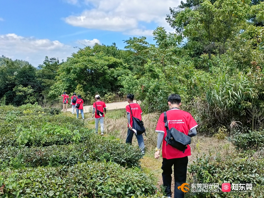 1658908495953958.jpg 2.jpg